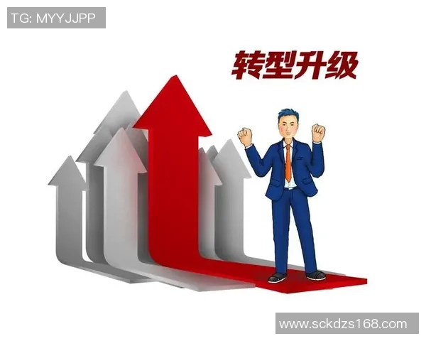 武汉羽毛球队的转型之路与未来发展趋势深度解析