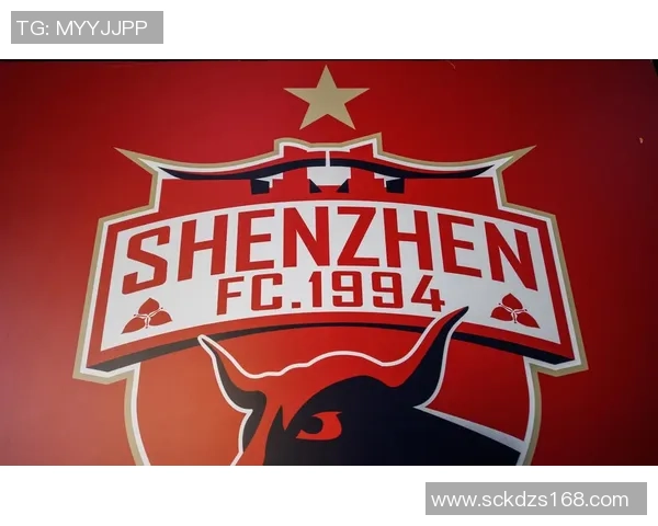 深圳排球队状态分析：聚焦球队表现与未来发展方向