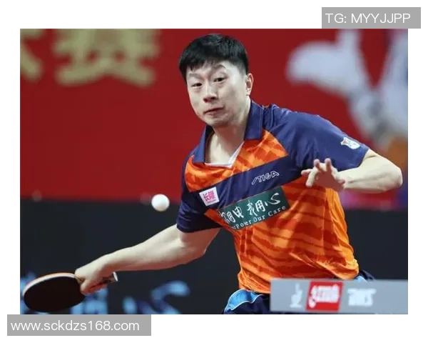 深入分析杭州乒乓球队进攻战术与技术特点的专业解读